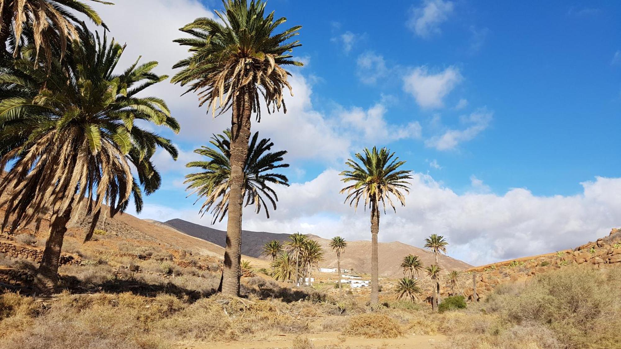 לאחארס Casa Cocoon, Sun&Freedom, 8 Mn From Beaches, Internet Fiber מראה חיצוני תמונה
